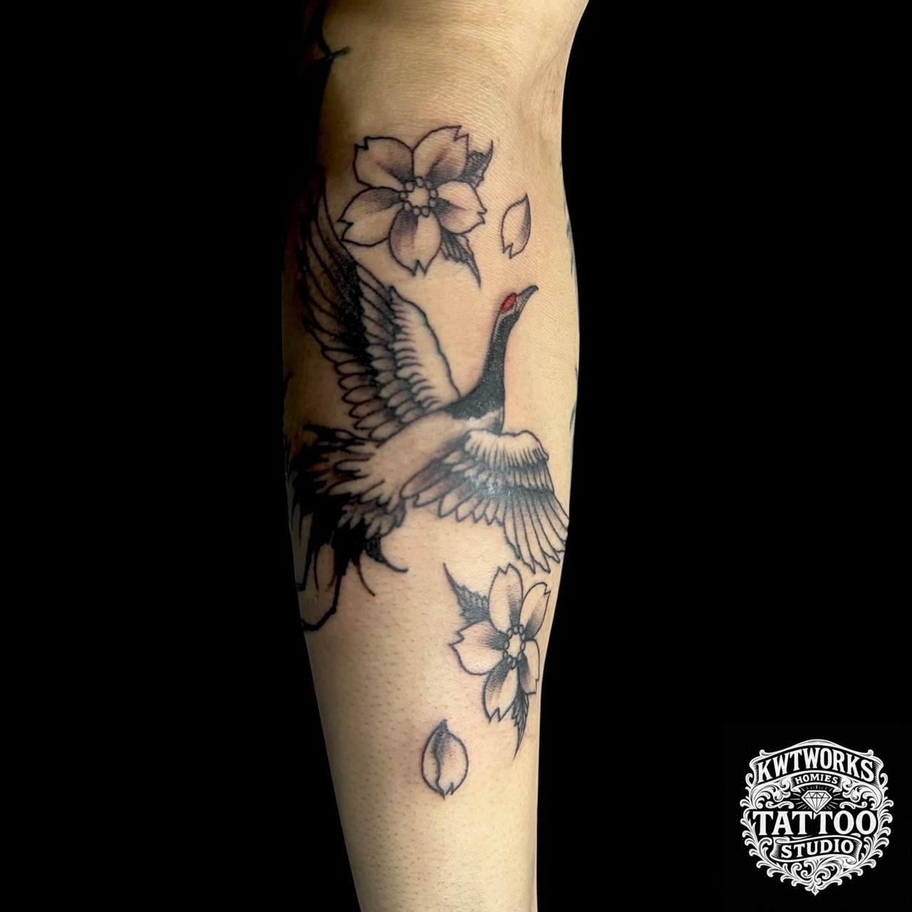 鶴と桜 (Crane & Sakura)